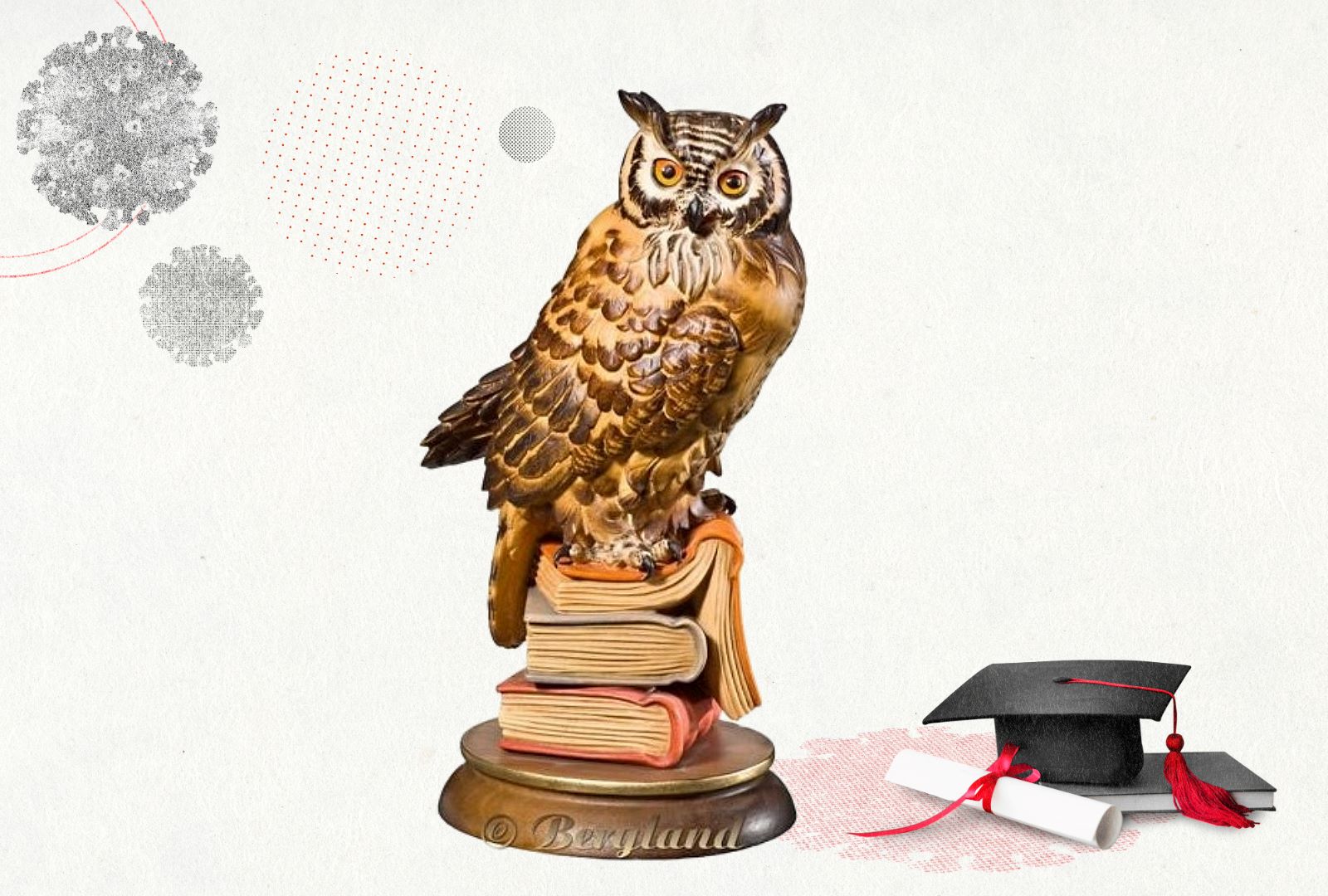 Gufo regalo di laurea